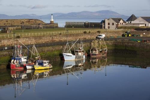 Harbour-Jan