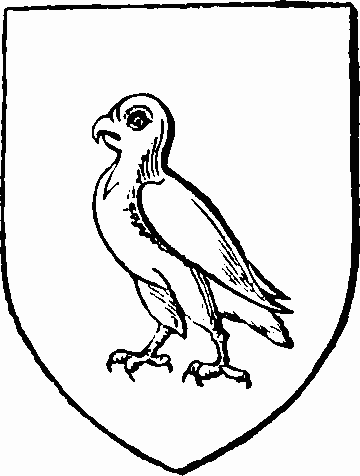 SEnhouse-Arms